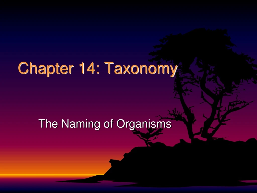chapter 14 taxonomy