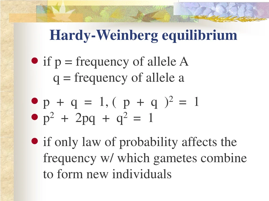 ppt-hardy-weinberg-equilibrium-powerpoint-presentation-free-download