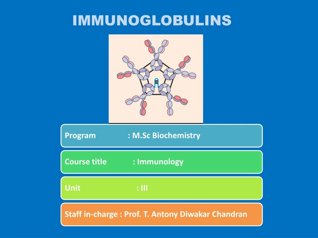 immunoglobulins