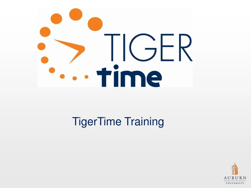 tigertime training