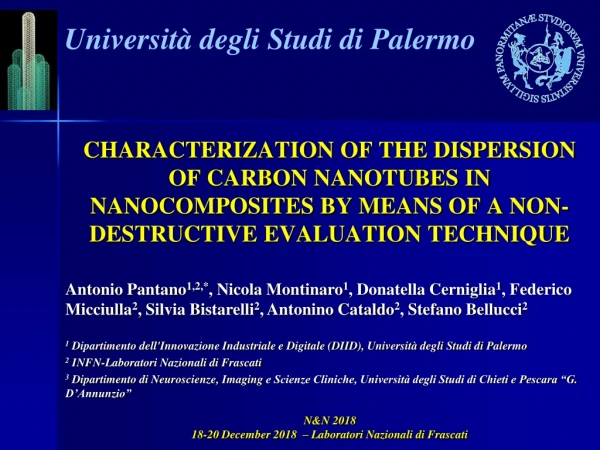 N&amp;N 2018 18-20  December  2018  – Laboratori Nazionali di Frascati