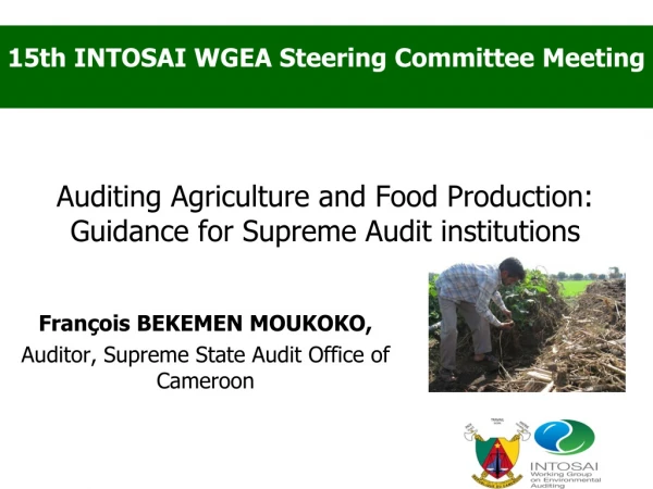 Auditing Agriculture and Food Production: Guidance for Supreme Audit institutions