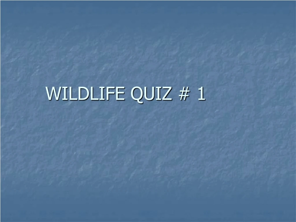 wildlife quiz 1