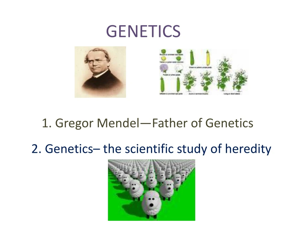 genetics