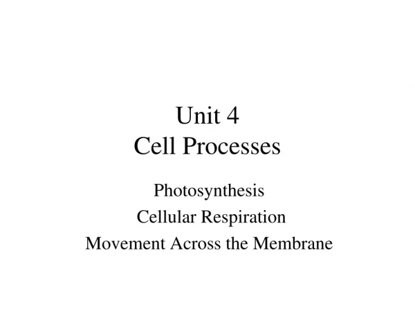 Unit 4  Cell Processes