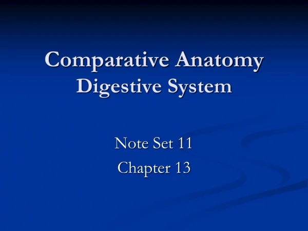 Comparative Anatomy Digestive System