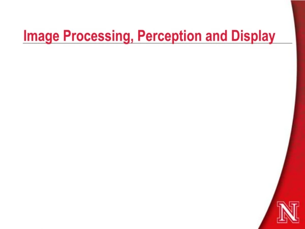 Image Processing, Perception and Display