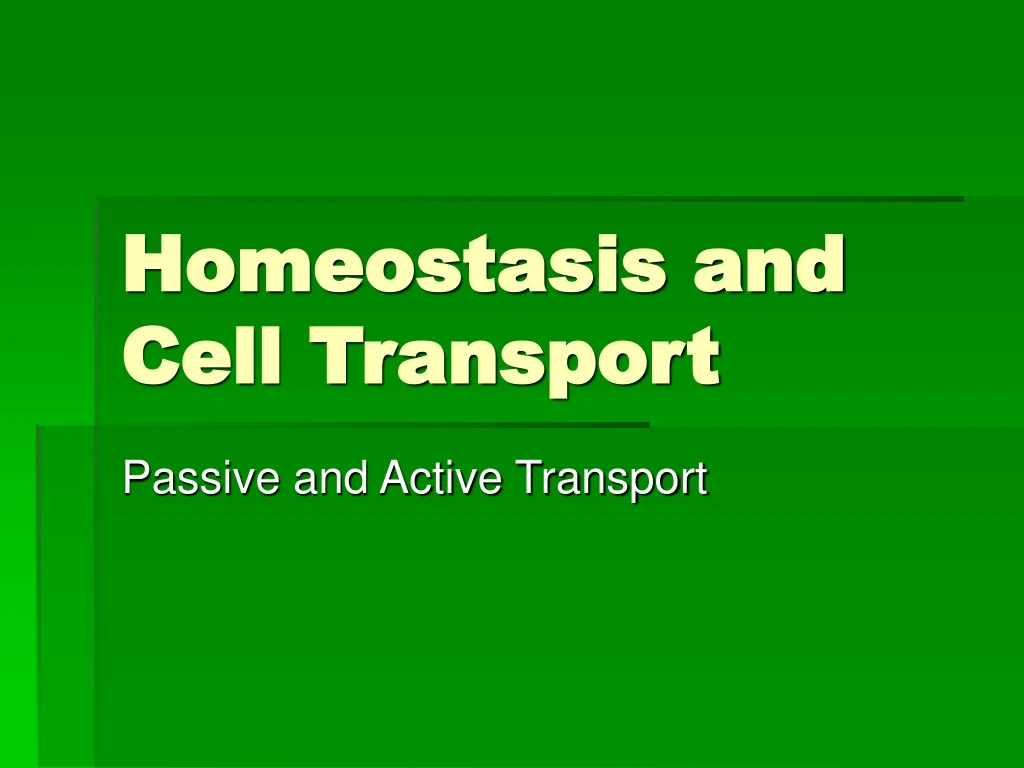 homeostasis and cell transport