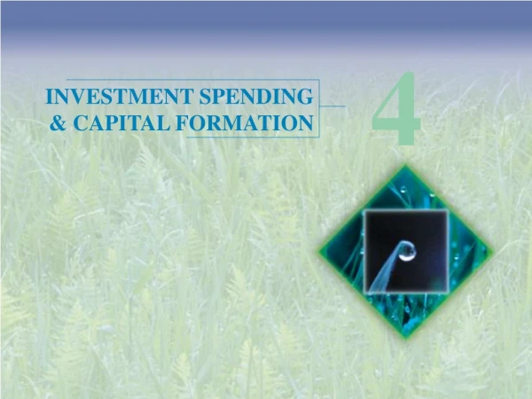 INVESTMENT SPENDING  &amp; CAPITAL FORMATION