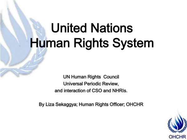 United Nations Human Rights System