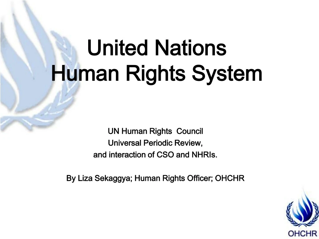 united nations human rights system