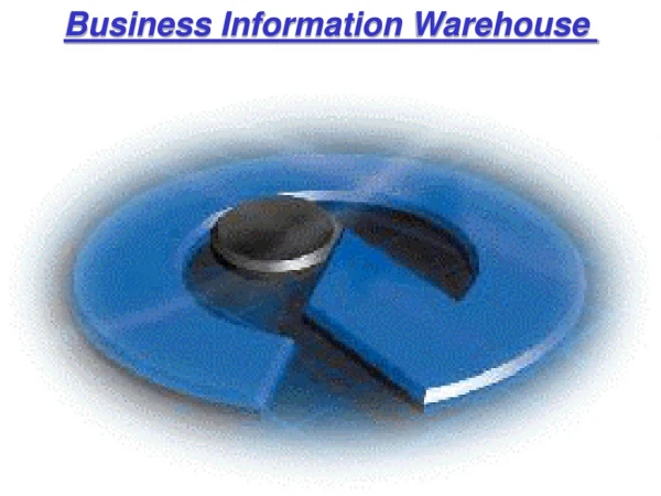 Business Information Warehouse 