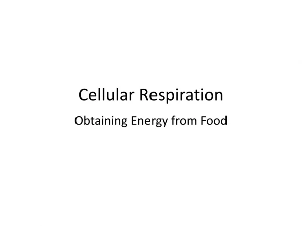 Cellular Respiration