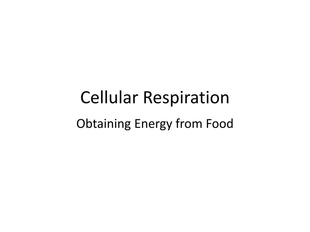 cellular respiration