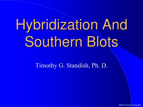 Hybridization And Southern Blots