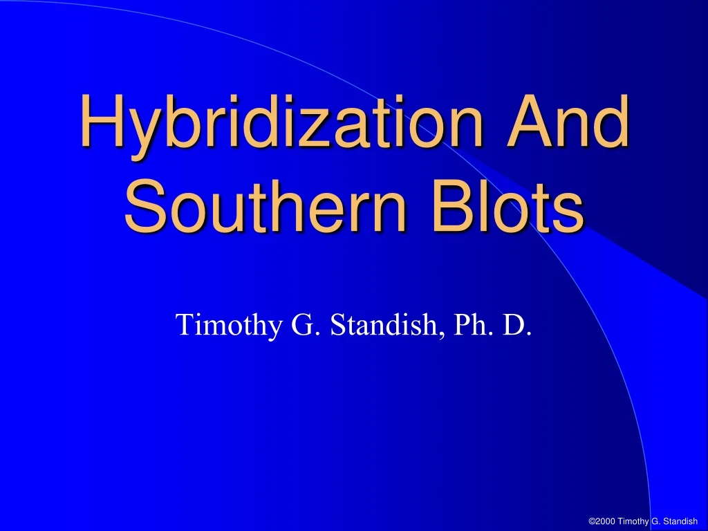 hybridization and southern blots