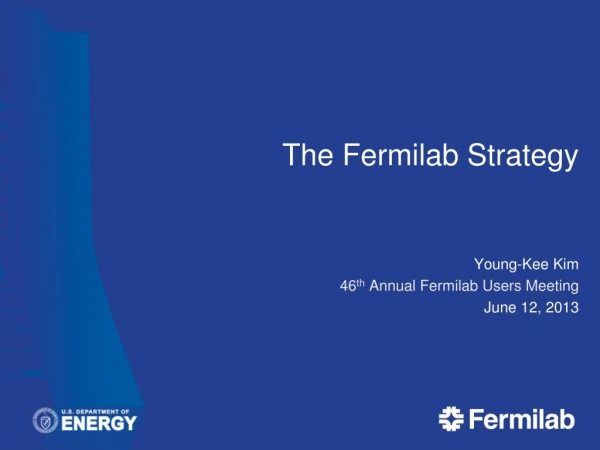 The Fermilab Strategy