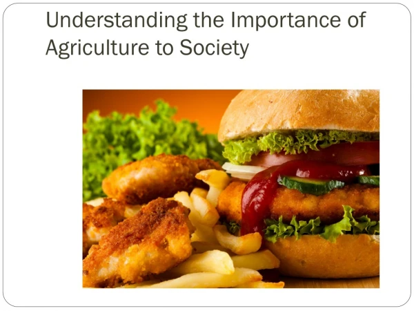 Understanding the Importance of Agriculture to Society