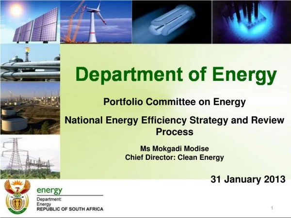 Portfolio Committee on Energy  National Energy Efficiency Strategy and Review  Process