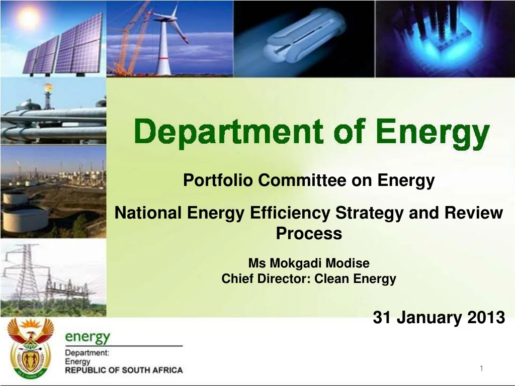 portfolio committee on energy national energy