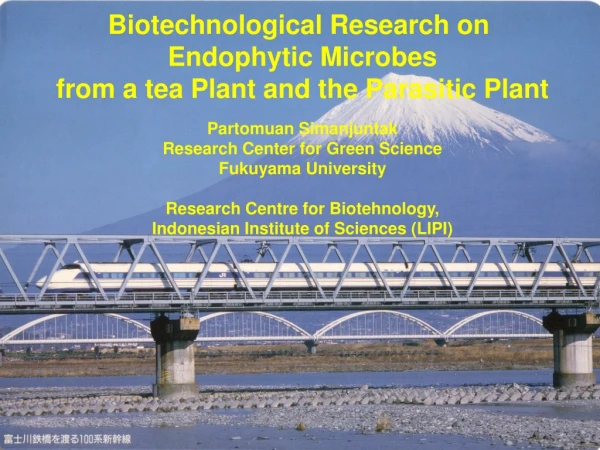 Biotechnological Research on  Endophytic Microbes from a tea Plant and the Parasitic Plant