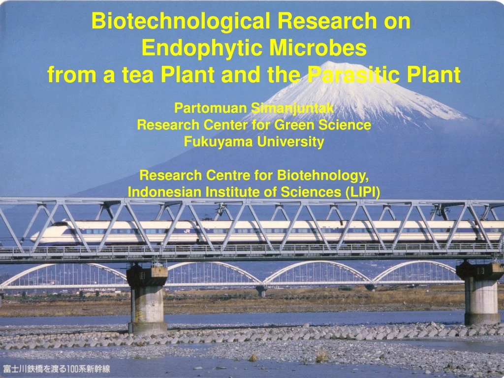 biotechnological research on endophytic microbes