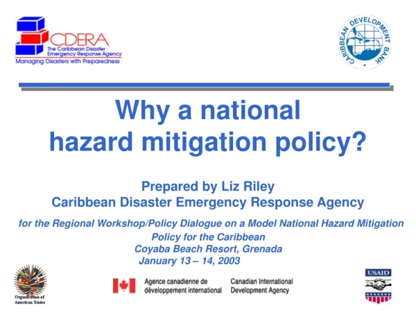 Why a national hazard mitigation policy? Prepared by Liz Riley