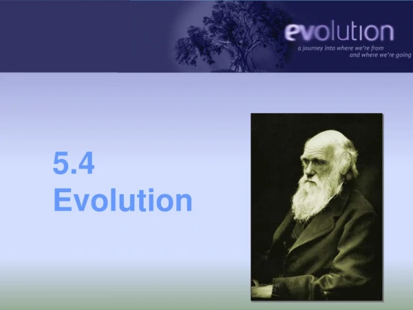 5.4 Evolution