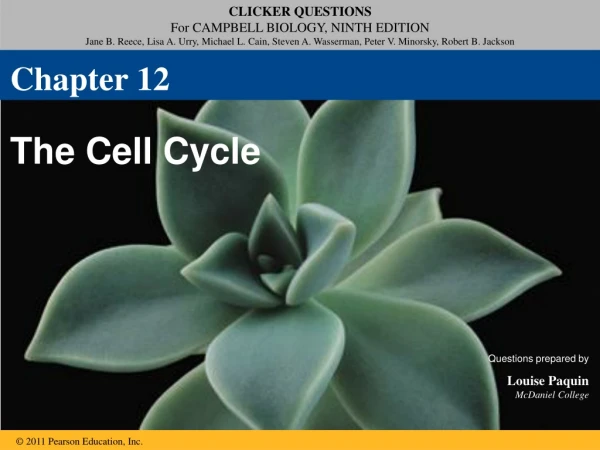 The Cell Cycle