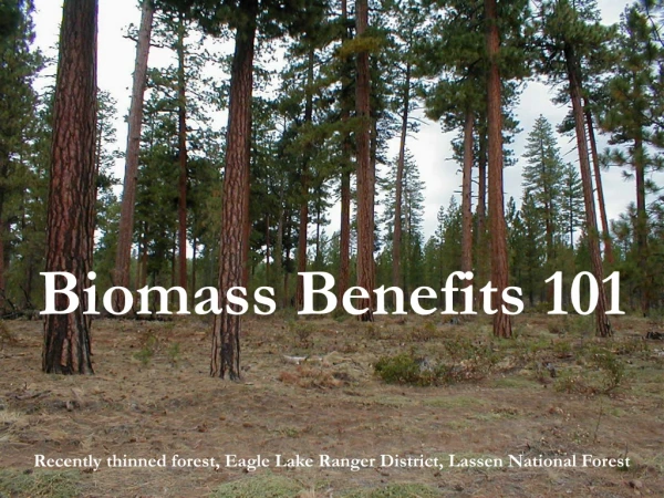 Biomass Benefits 101