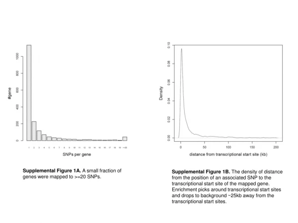 Supplemental Figure 1A.  A small fraction of genes were mapped to &gt;=20 SNPs.