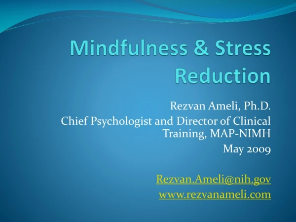 Mindfulness &amp; Stress Reduction