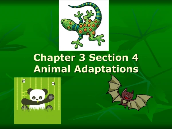 Chapter 3 Section 4 Animal Adaptations