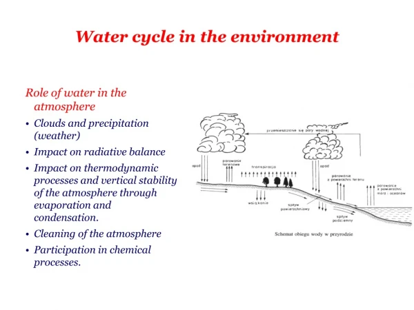 Water cycle in the environment