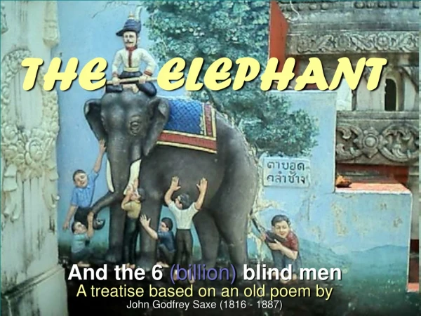 THE    ELEPHANT