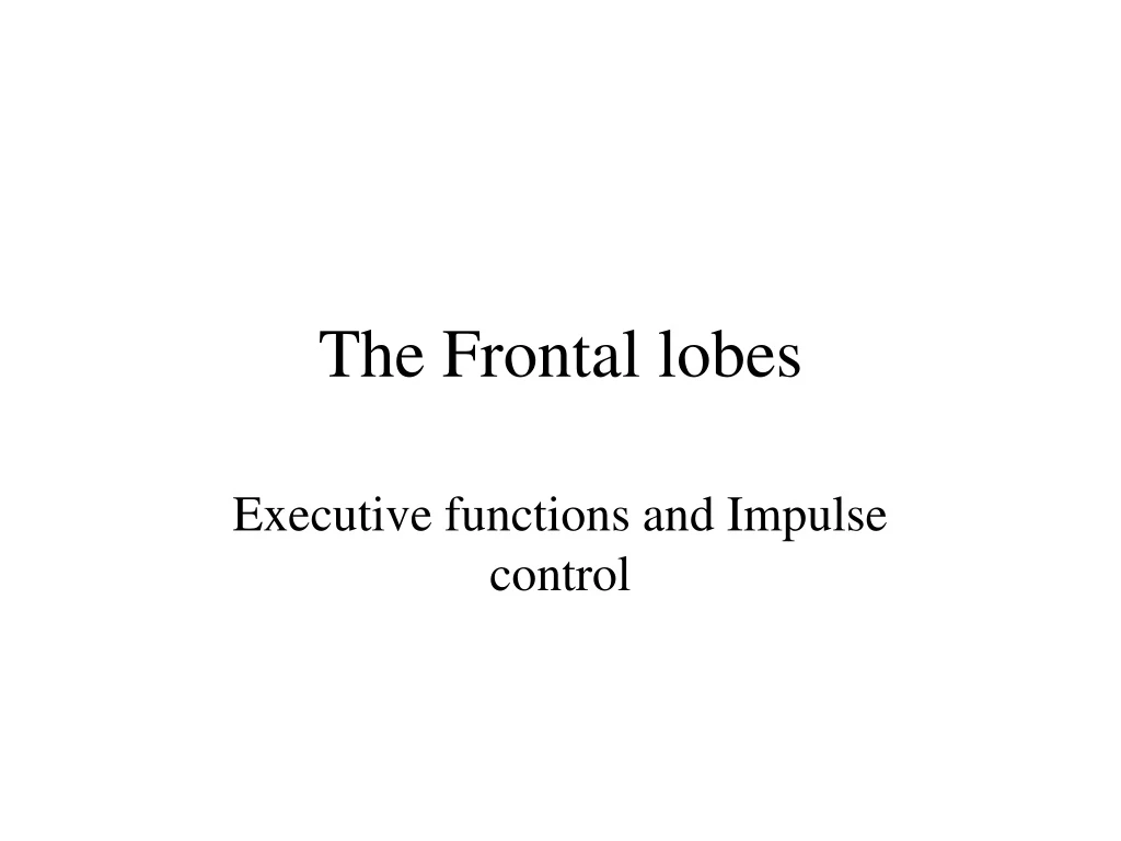 the frontal lobes