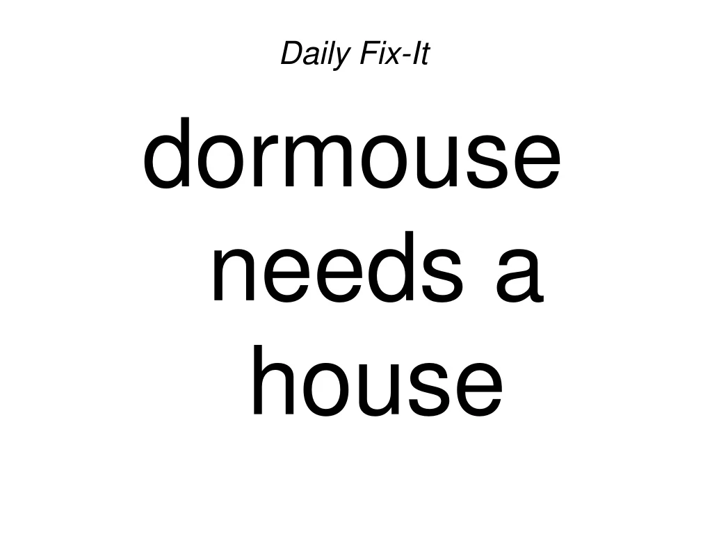 daily fix it dormouse needs a house