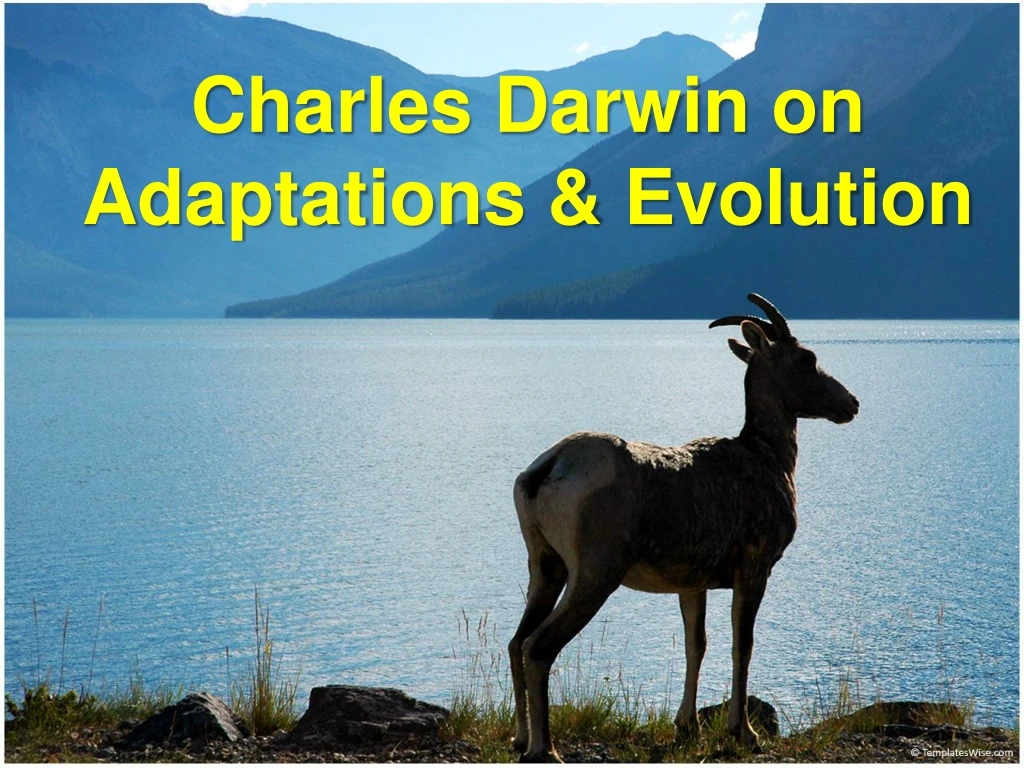 charles darwin on adaptations evolution