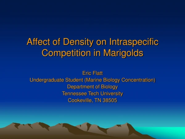 Affect of Density on Intraspecific Competition in Marigolds