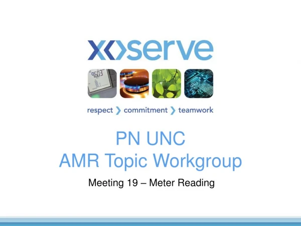 PN UNC  AMR Topic Workgroup