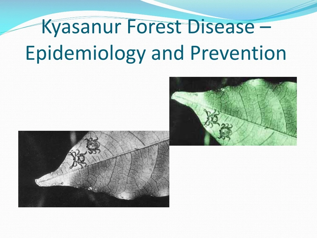 kyasanur forest disease epidemiology and prevention