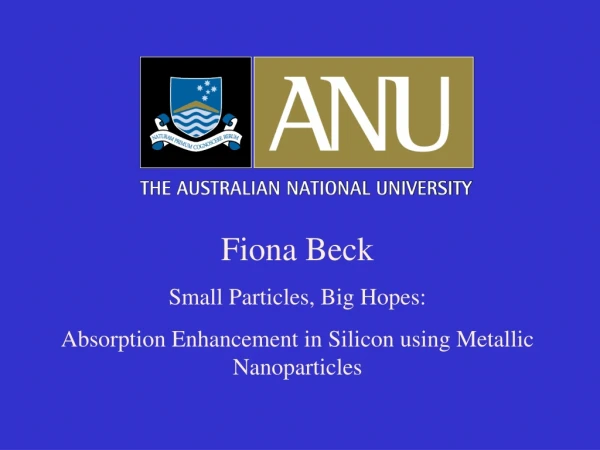 Fiona Beck Small Particles, Big Hopes:
