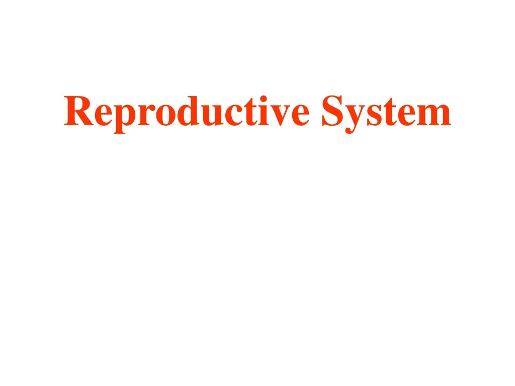 reproductive system