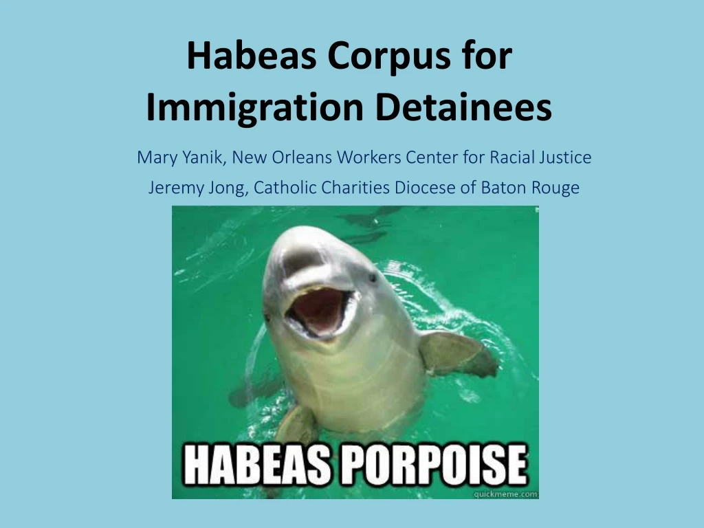habeas corpus for immigration detainees