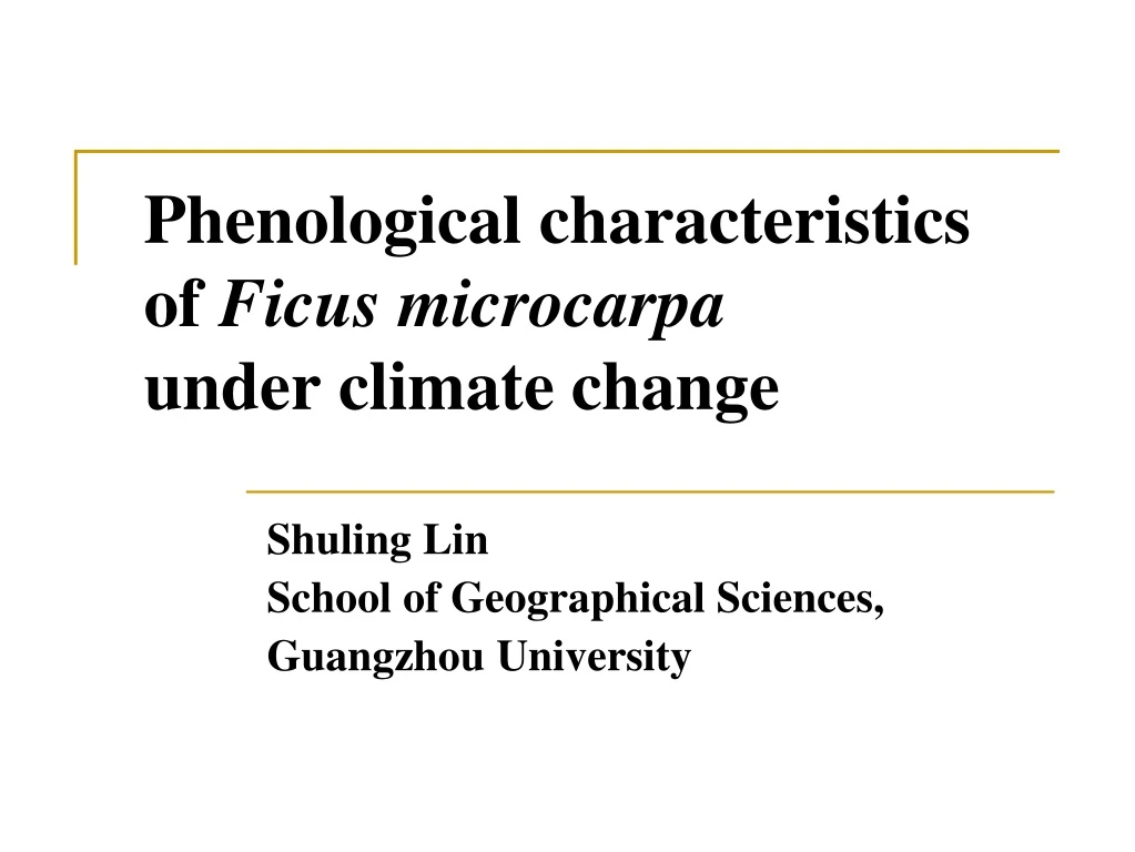 phenological characteristics of ficus microcarpa under climate change