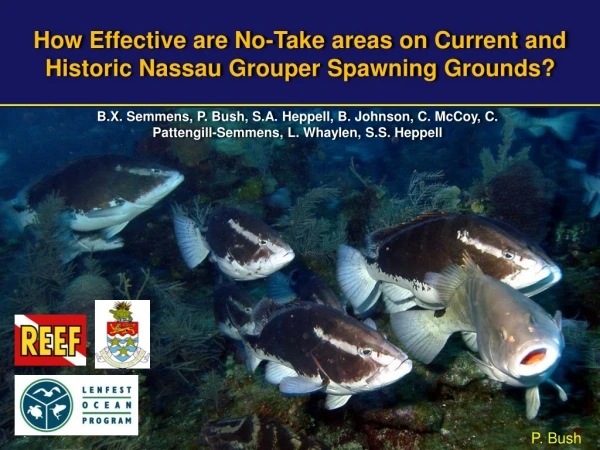 How Effective are No-Take areas on Current and Historic Nassau Grouper Spawning Grounds?