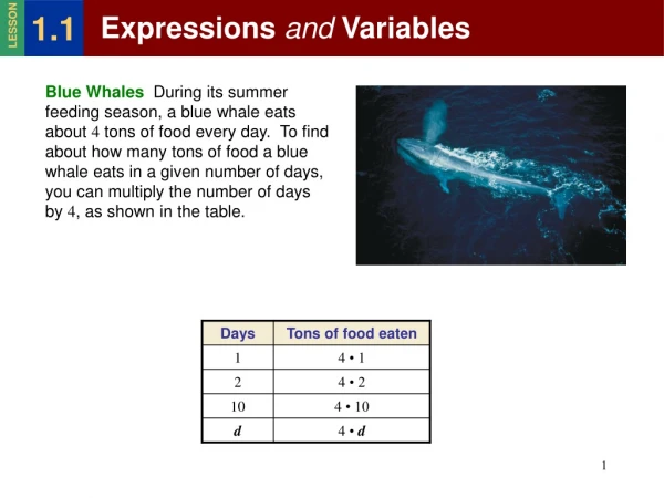 Expressions  and  Variables