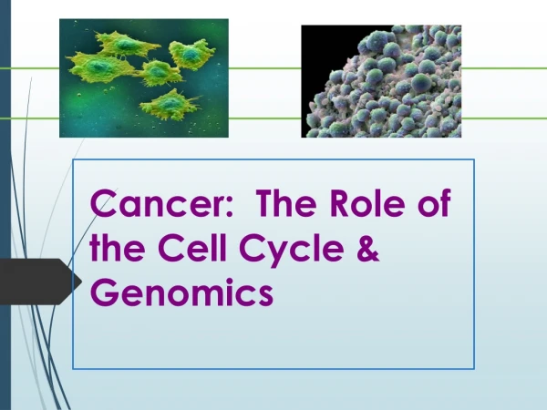 Cancer:  The Role of the Cell Cycle &amp; Genomics