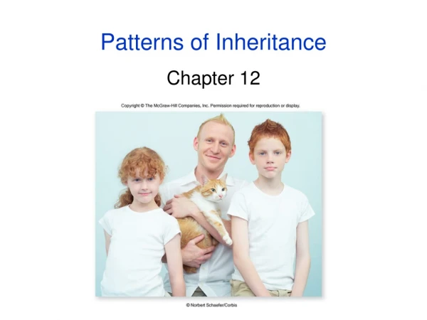 Patterns of Inheritance