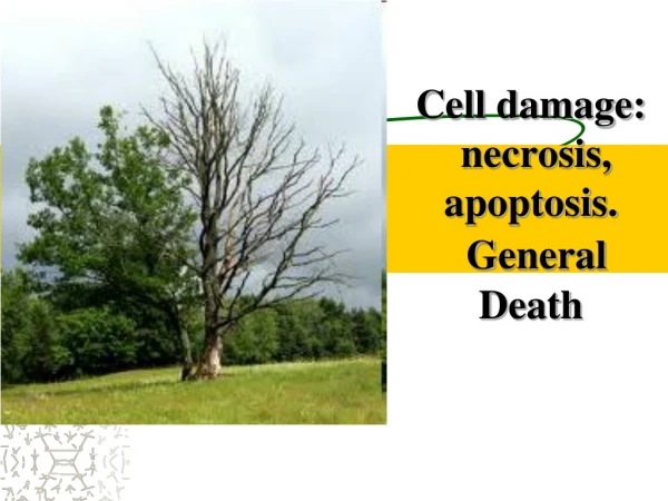 Cell damage:  necrosis, apoptosis. General D eath